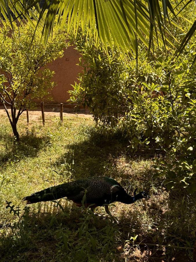 Villa Ms Holidays Mika Privatisee Marrakech Marrakesh Eksteriør bilde