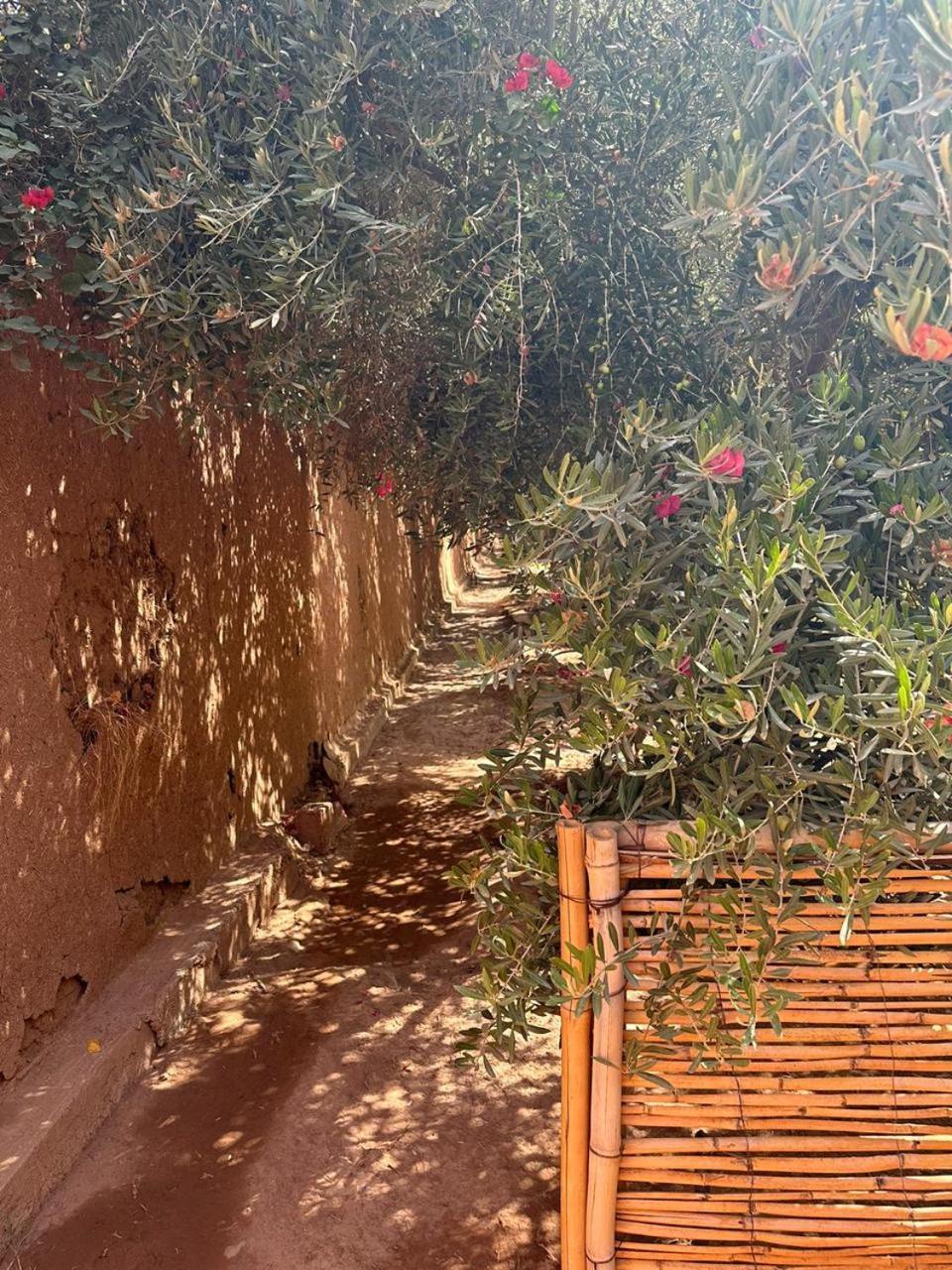 Villa Ms Holidays Mika Privatisee Marrakech Marrakesh Eksteriør bilde