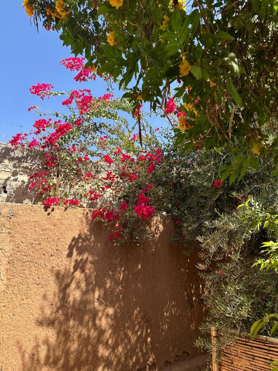 Villa Ms Holidays Mika Privatisee Marrakech Marrakesh Eksteriør bilde